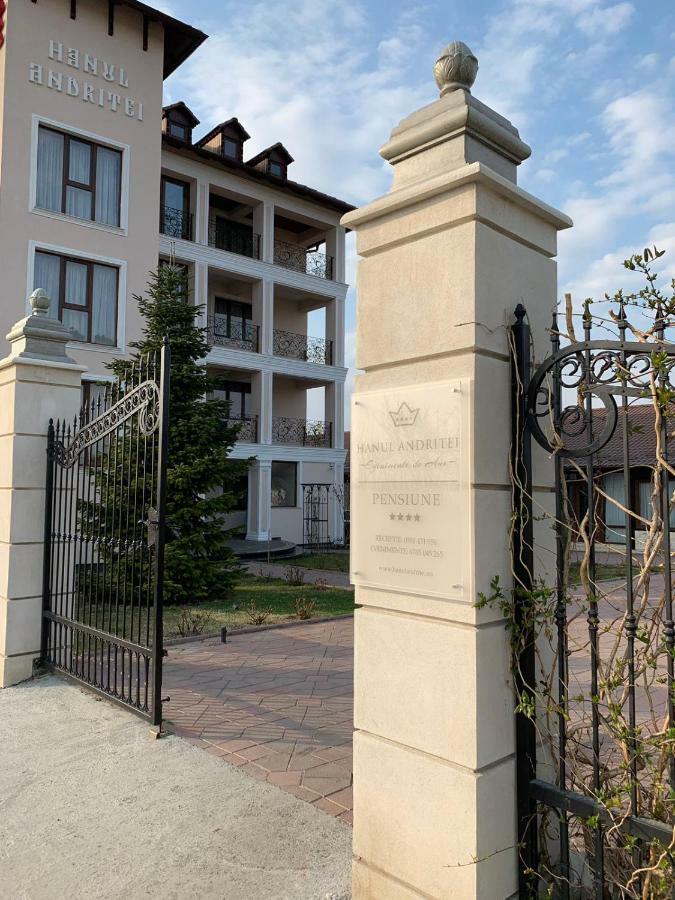 Pension Hanul Andritei Крайова Екстериор снимка