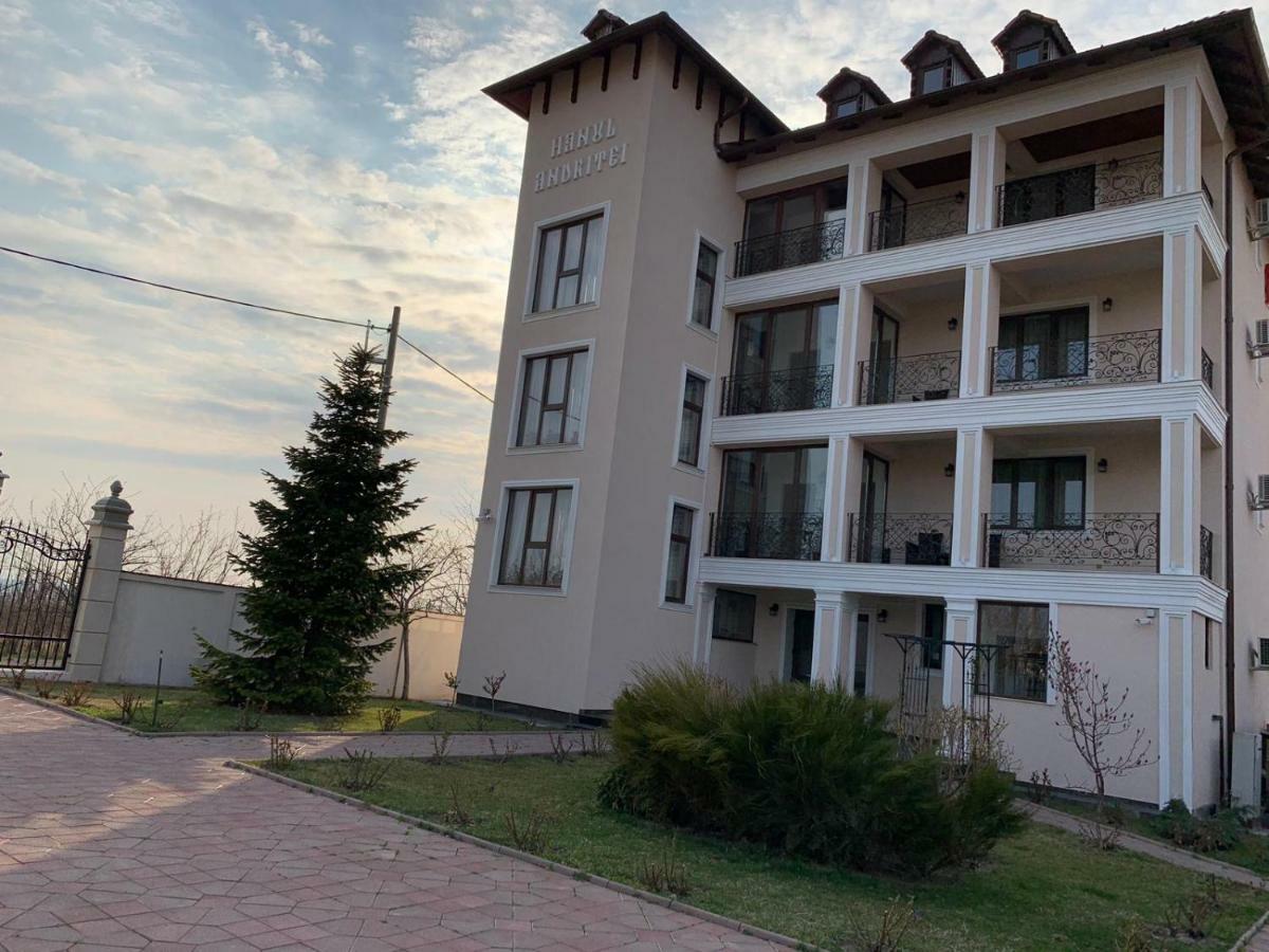 Pension Hanul Andritei Крайова Екстериор снимка